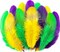 300 Pcs Mardi Gras Feathers for Crafts – 3–5 Inch Bulk Feathers for DIY Projects, Dream Catchers, Wedding, Home & Party Decorations
